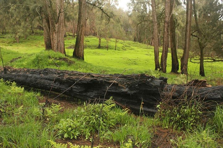 Arjuno- Welirang: 2 Summits in a&nbsp;Row