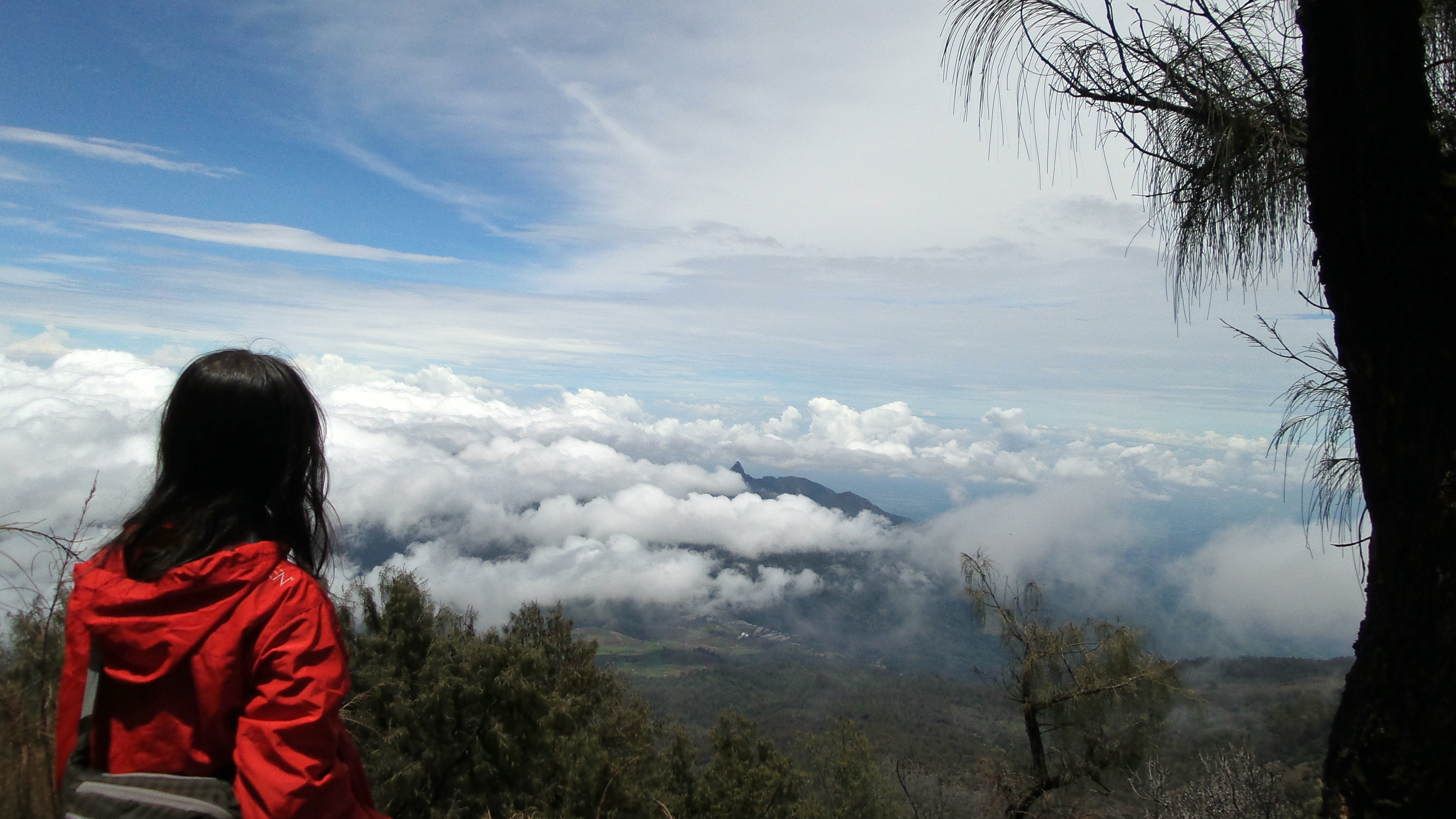 20150102_105757_Richtone(HDR)