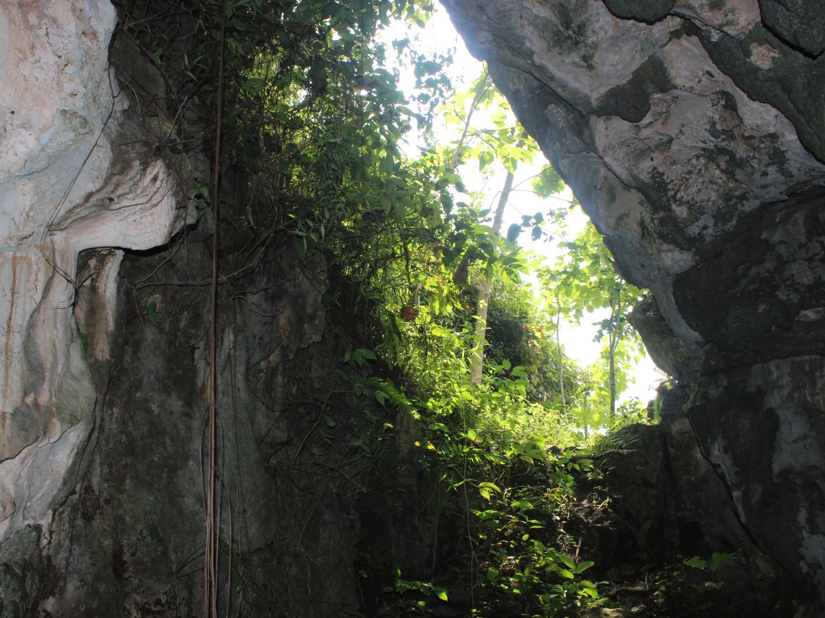 One Day Trip: Caving to&nbsp;Klapanunggal