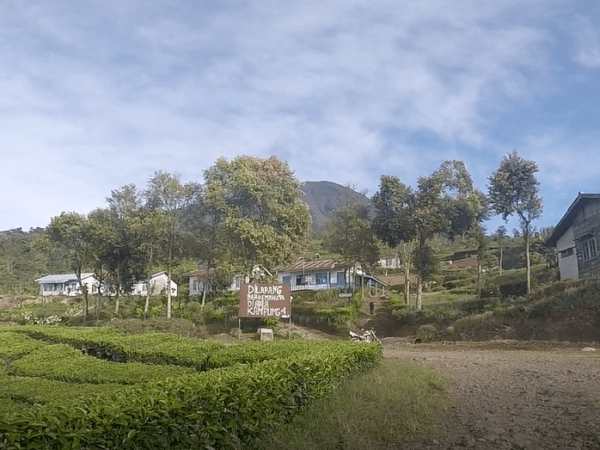 Gunung Dempo & Gunung Marapi: Perjalanan di Bumi&nbsp;Sriwijaya